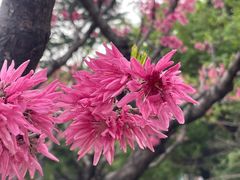 -天坛公园