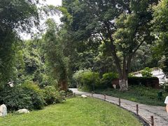 -成都市活水公园