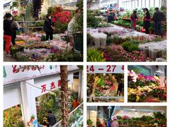 -双季花艺园艺市场(浦东店)