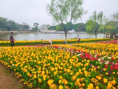 -上海鲜花港