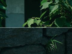 -枸杞岛