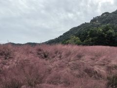 -昆嵛山石门里景区
