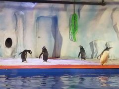 -鄂尔多斯野生动物园