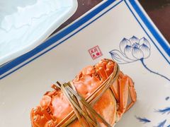 -乡乐园蟹庄·阳澄湖农家乐