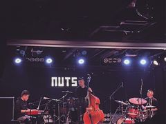 -坚果NUTS