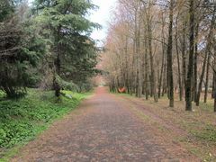 -上海海湾国家森林公园