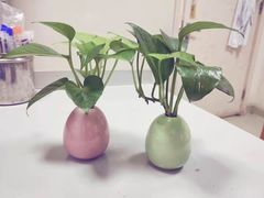 -味子夫鸡柳(三峡广场店)