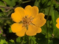 -紫竹院公园-东门停车场