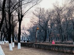 -长春市南湖公园