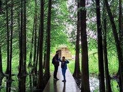 -溱湖国家湿地公园