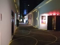 -嘉华国际影城(学清路店)