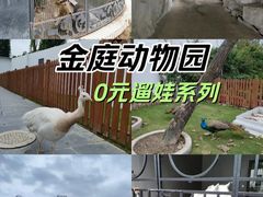 -金庭庄园酒店-停车场