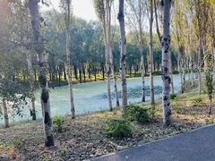-东郊湿地公园