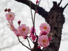 -东湖生态旅游风景区