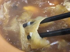 鱼翅-大中鱼翅 Taitong Shark Fin
