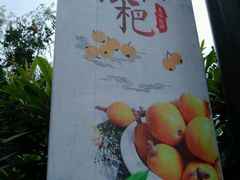 -塘栖枇杷特色园区