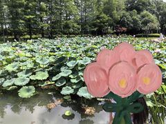 -金银湖国家城市湿地公园