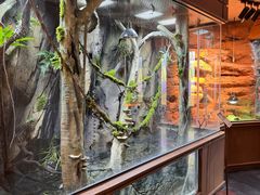 -帕帕拉兹宠物(亚洲旗舰店)