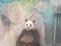 -苏州太湖国家湿地公园