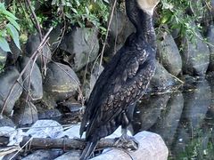 -楠溪江风景名胜区