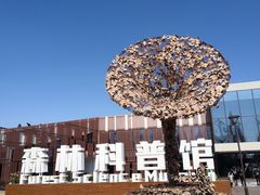 -黄海国家森林公园