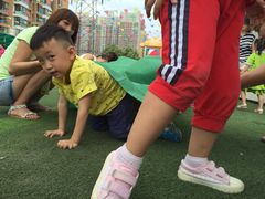 -灞桥十里铺舒克幼儿园