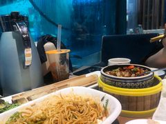 -雀舞云南菜(乐客城店)