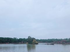 -大湾区中央湿地公园