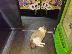 -游人馆·桌游狼人杀团建馆(人广书城店)