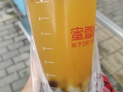 -蜜雪冰城(国权路地铁口店)