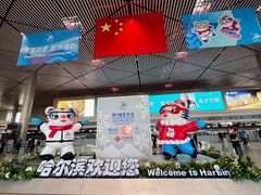 -哈尔滨太平国际机场-T2航站楼