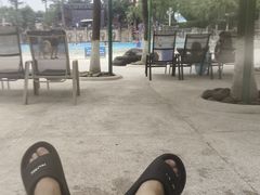 -重庆海昌加勒比海水世界
