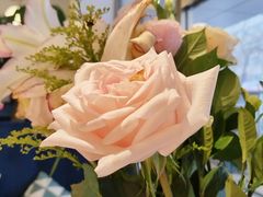 -花舍·新派粤菜·西餐·下午茶(亚运村·鸟巢店)