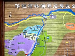 -汤旺河林海奇石景区
