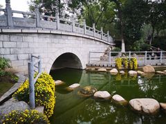 -莲湖公园