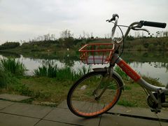 -白鹭湾湿地公园