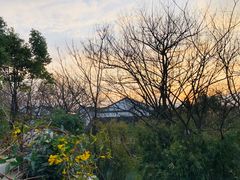 -春暖花开(西溪店)