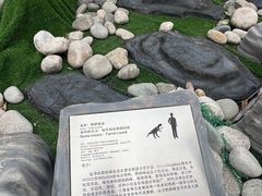 -陕西自然博物馆