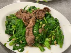-文章牛肉汤