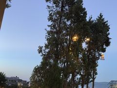 -云禾壹海景庄园餐厅