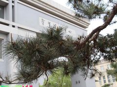 -东北大学(南湖校区)