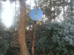 -青桃餐厅