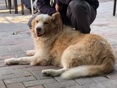 -豆舞咖啡(民乐路店)