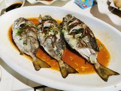 果皮蒸泥猛鱼-强记海鲜·大排档(蛇口新街店)