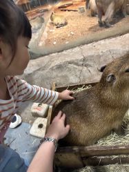 -Zoolung Zoolung动物主题公园(海信广场店)