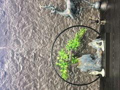 -御足宫影院式足道(平江万达店)