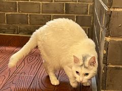 -张记牛肉面馆(天津路店)