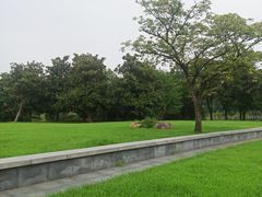 -蠡湖大桥公园