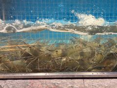 -曼格活海鲜·牛排自助(光明蓝鲸店)