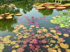 -国家植物园南园